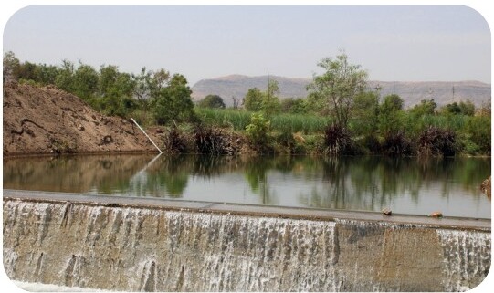 Restored check dam with overflowing water